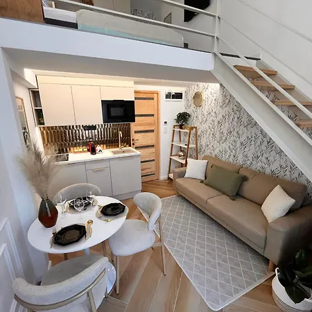 Artic Daire